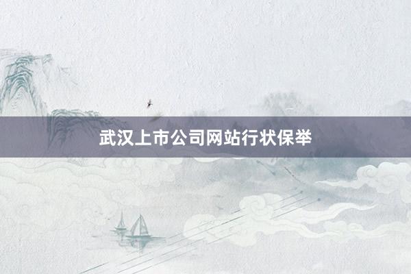 武汉上市公司网站行状保举