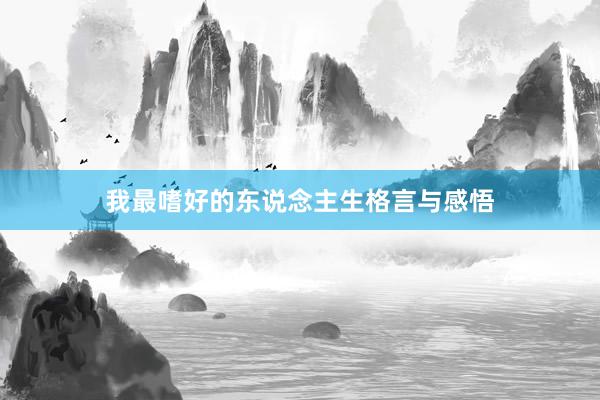 我最嗜好的东说念主生格言与感悟